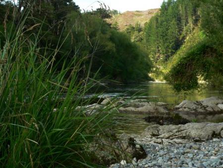 Bord de riviere a Tapawera
