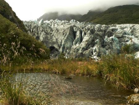 fox glacier