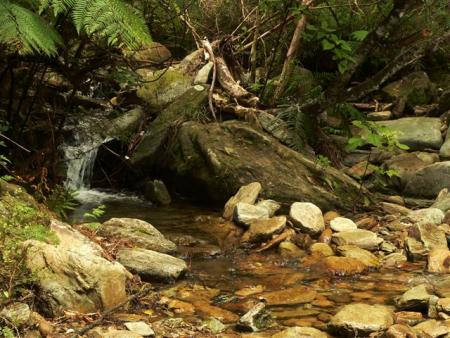 petit cour d eau