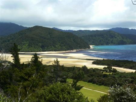 foret mer et sable