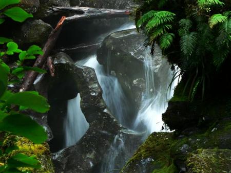 The chasm