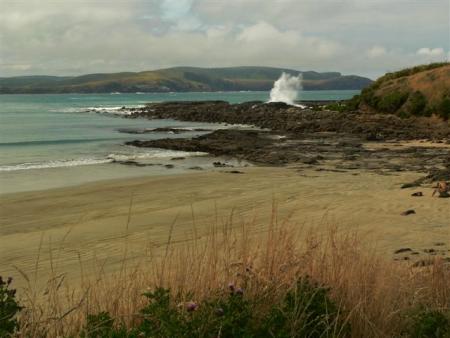 plages aux catlins