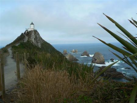 nuggets point.