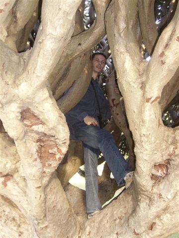 Grimper a cette arbre ca me rapelle quand j'etais gamin a Mezangers....bon souvenir!!!