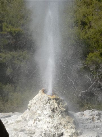 Lady Knox geyser