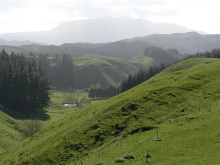 campagne entre roto et Taupo