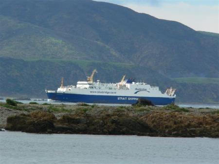 ferry to picton....