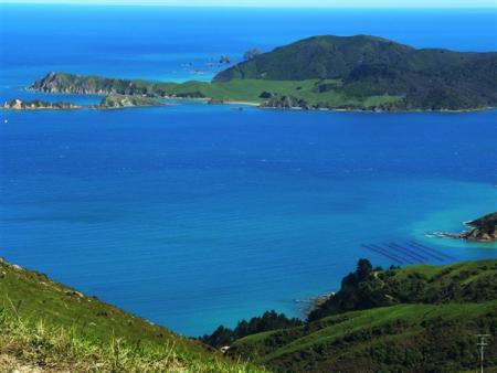 la pointe de `d'urville island